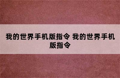 我的世界手机版指令 我的世界手机版指令